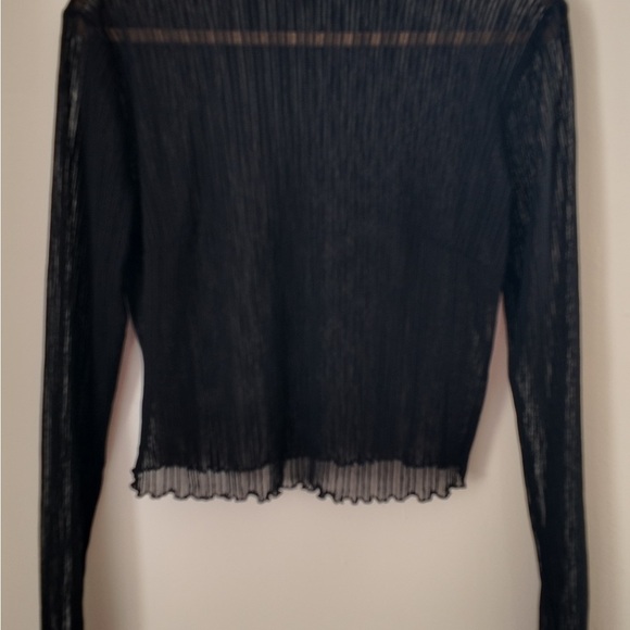 Sheer Pleated Boat Neck Top – Plus Size 0X, Elegant Long Sleeve Blouse - Picture 4 of 10